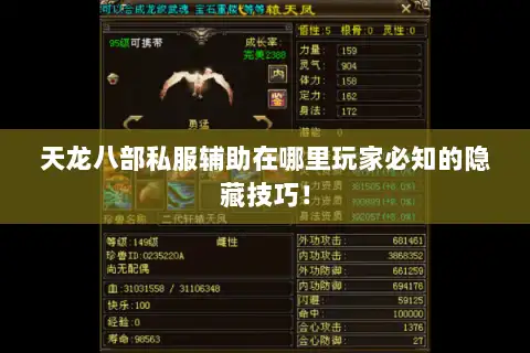 天龙八部私服辅助在哪里玩家必知的隐藏技巧！