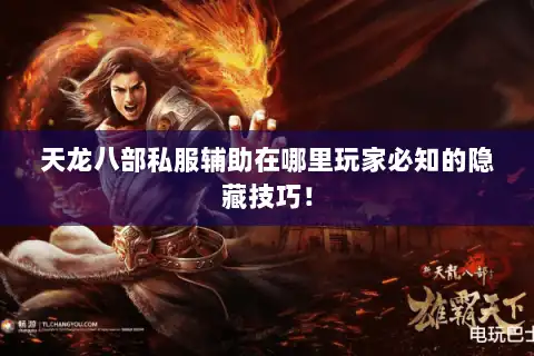 天龙八部私服辅助在哪里玩家必知的隐藏技巧！