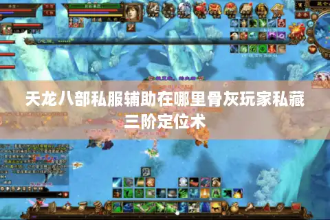 天龙八部私服辅助在哪里骨灰玩家私藏三阶定位术