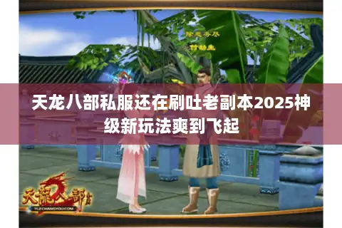 天龙八部私服还在刷吐老副本2025神级新玩法爽到飞起