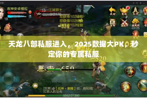 天龙八部私服进入，2025数据大PK，秒定你的专属私服