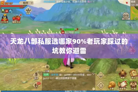 天龙八部私服选哪家90%老玩家踩过的坑教你避雷