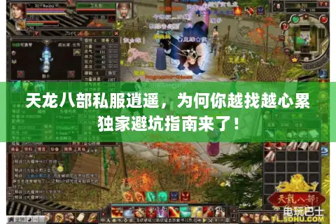 天龙八部私服逍遥,为何你越找越心累独家避坑指南来了! 天龙八部私服逍遥,为何你越找越心累独家避坑指南来了!