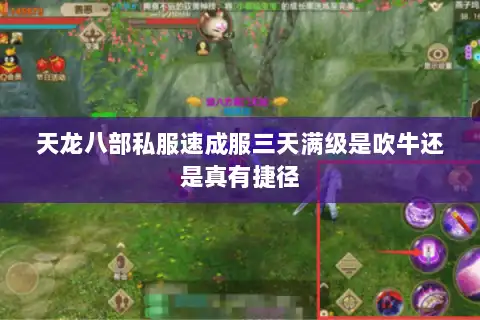 天龙八部私服速成服三天满级是吹牛还是真有捷径