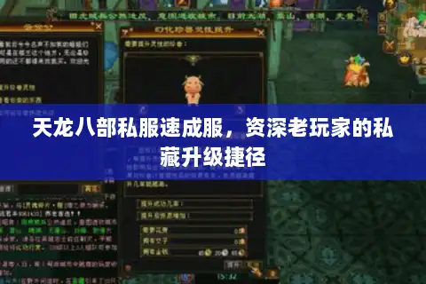 天龙八部私服速成服，资深老玩家的私藏升级捷径