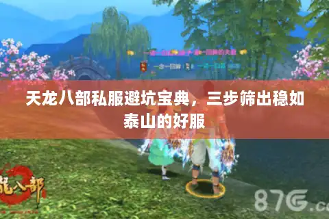 天龙八部私服避坑宝典,三步筛出稳如泰山的好服 天龙八部私服避坑宝典,三步筛出稳如泰山的好服