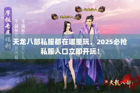 天龙八部私服都在哪里玩，2025必抢私服入口立即开玩！