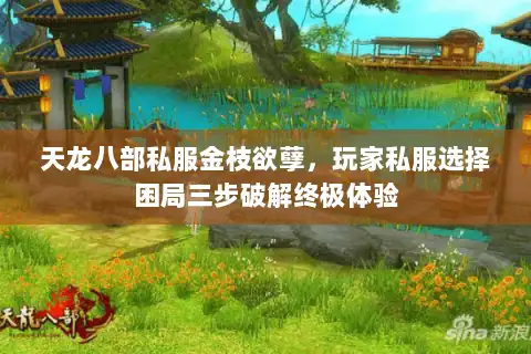 天龙八部私服金枝欲孽，玩家私服选择困局三步破解终极体验