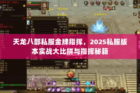 天龙八部私服金牌指挥，2025私服版本实战大比拼与指挥秘籍