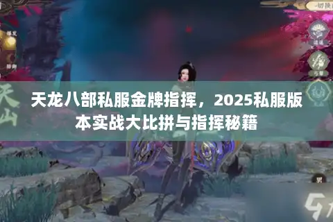 天龙八部私服金牌指挥，2025私服版本实战大比拼与指挥秘籍