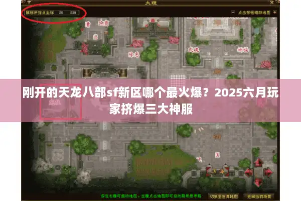 刚开的天龙八部sf新区哪个最火爆？2025六月玩家挤爆三大神服
