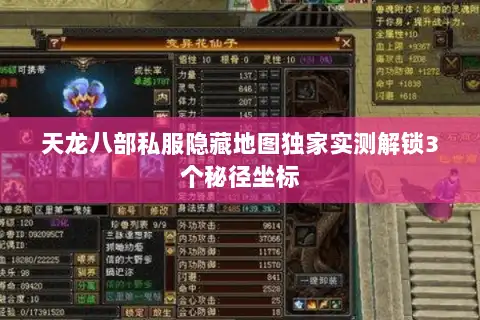 天龙八部私服隐藏地图独家实测解锁3个秘径坐标