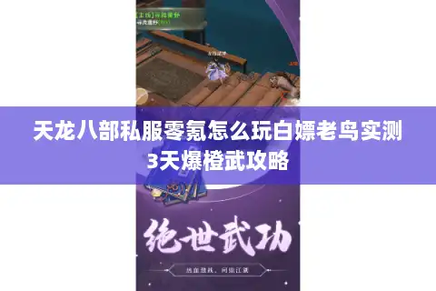 天龙八部私服零氪怎么玩白嫖老鸟实测3天爆橙武攻略