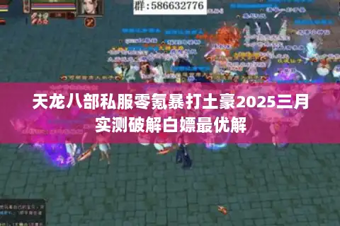 天龙八部私服零氪暴打土豪2025三月实测破解白嫖最优解