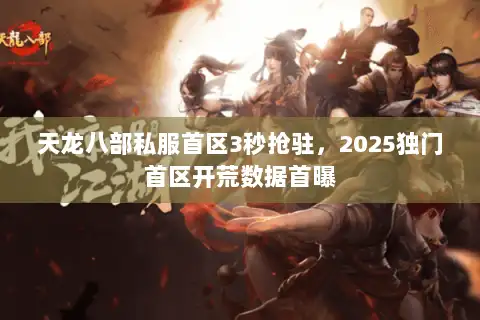 天龙八部私服首区3秒抢驻，2025独门首区开荒数据首曝