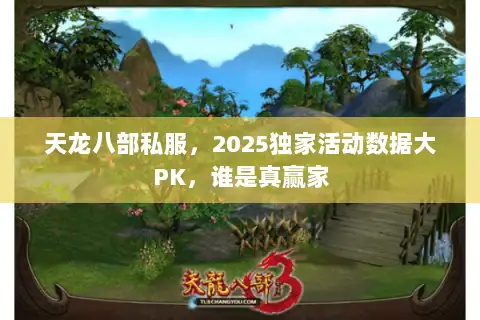 天龙八部私服,2025独家活动数据大PK,谁是真赢家 天龙八部私服,2025独家活动数据大PK,谁是真赢家