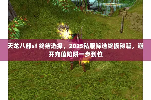天龙八部sf 终结选择,2025私服筛选终极秘籍,避开充值陷阱一步到位 天龙八部sf 终结选择,2025私服筛选终极秘籍,避开充值陷阱一步到位