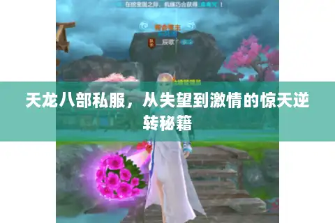 天龙八部私服，从失望到激情的惊天逆转秘籍