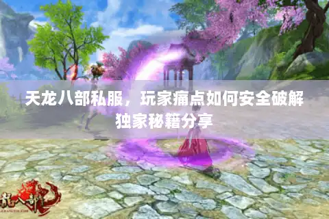 天龙八部私服，玩家痛点如何安全破解独家秘籍分享
