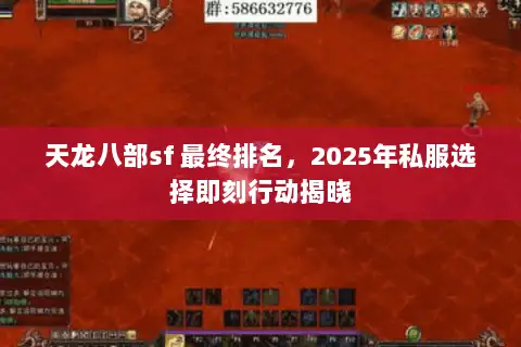 天龙八部sf 最终排名，2025年私服选择即刻行动揭晓