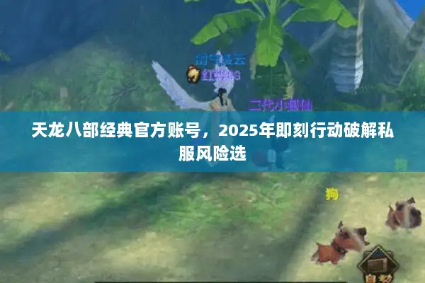 天龙八部经典官方账号，2025年即刻行动破解私服风险选