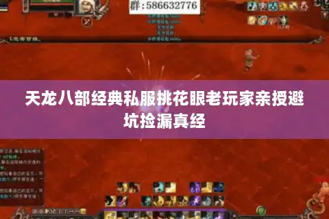 天龙八部经典私服挑花眼老玩家亲授避坑捡漏真经