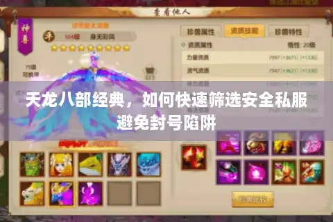 天龙八部经典,如何快速筛选安全私服避免封号陷阱 天龙八部经典,如何快速筛选安全私服避免封号陷阱