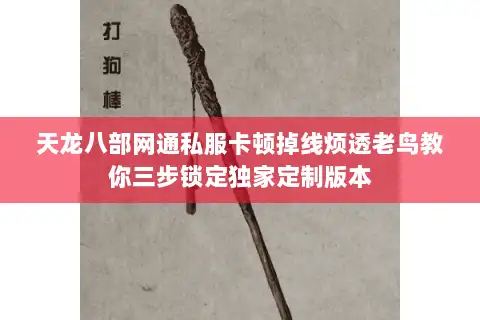 天龙八部网通私服卡顿掉线烦透老鸟教你三步锁定独家定制版本