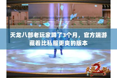 天龙八部老玩家蹲了3个月，官方端游藏着比私服更爽的版本