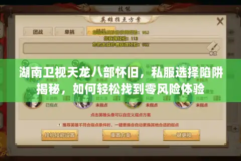 湖南卫视天龙八部怀旧，私服选择陷阱揭秘，如何轻松找到零风险体验