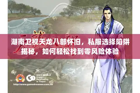 湖南卫视天龙八部怀旧，私服选择陷阱揭秘，如何轻松找到零风险体验