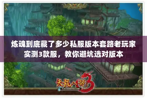 炼魂到底藏了多少私服版本套路老玩家实测3款服，教你避坑选对版本