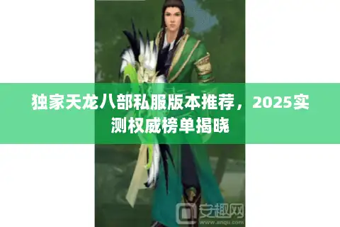 独家天龙八部私服版本推荐，2025实测权威榜单揭晓