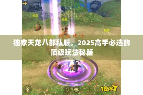 独家天龙八部私服,2025高手必选的顶级玩法秘籍 独家天龙八部私服,2025高手必选的顶级玩法秘籍