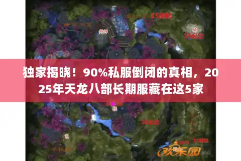 独家揭晓！90%私服倒闭的真相，2025年天龙八部长期服藏在这5家