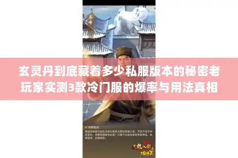 玄灵丹到底藏着多少私服版本的秘密老玩家实测3款冷门服的爆率与用法真相