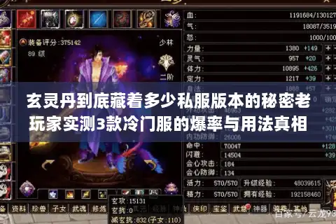玄灵丹到底藏着多少私服版本的秘密老玩家实测3款冷门服的爆率与用法真相