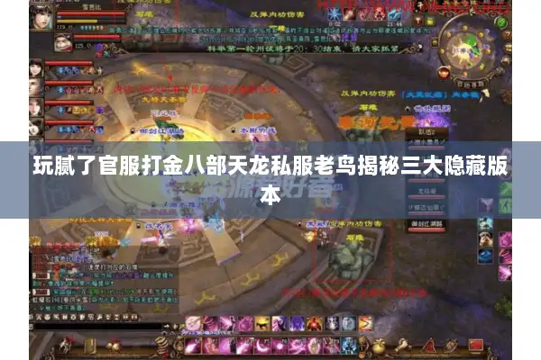 玩腻了官服打金八部天龙私服老鸟揭秘三大隐藏版本