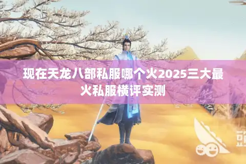 现在天龙八部私服哪个火2025三大最火私服横评实测