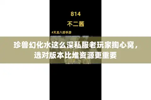 珍兽幻化水这么深私服老玩家掏心窝，选对版本比堆资源更重要