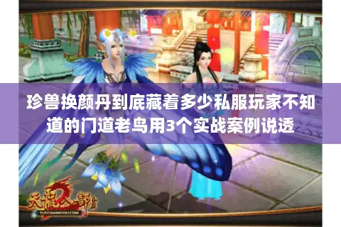 珍兽换颜丹到底藏着多少私服玩家不知道的门道老鸟用3个实战案例说透