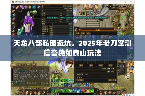 天龙八部私服避坑，2025年老刀实测信誉稳如泰山玩法