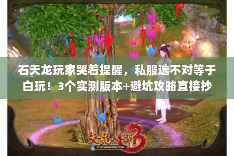 石天龙玩家哭着提醒,私服选不对等于白玩!3个实测版本+避坑攻略直接抄 石天龙玩家哭着提醒,私服选不对等于白玩!3个实测版本+避坑攻略直接抄