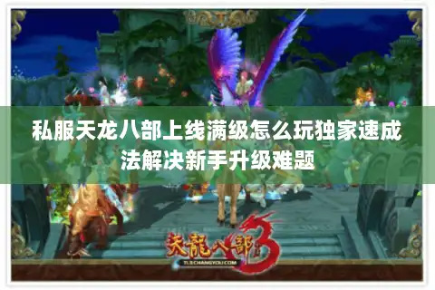 私服天龙八部上线满级怎么玩独家速成法解决新手升级难题 私服天龙八部上线满级怎么玩独家速成法解决新手升级难题