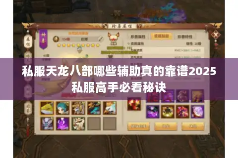 私服天龙八部哪些辅助真的靠谱2025私服高手必看秘诀