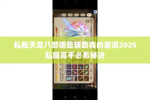 私服天龙八部哪些辅助真的靠谱2025私服高手必看秘诀