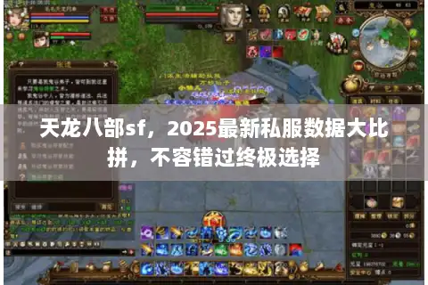 天龙八部sf，2025最新私服数据大比拼，不容错过终极选择