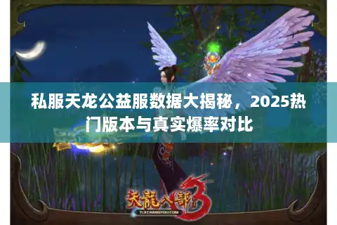 私服天龙公益服数据大揭秘，2025热门版本与真实爆率对比