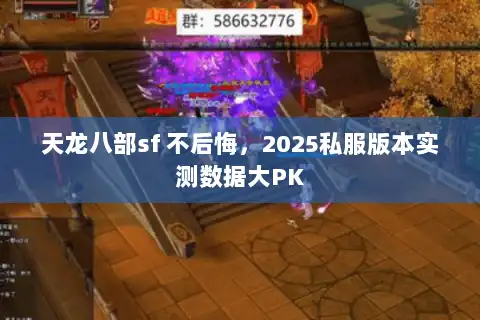 天龙八部sf 不后悔，2025私服版本实测数据大PK