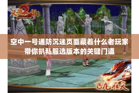 空中一号通防沉迷页面藏着什么老玩家带你扒私服选版本的关键门道 空中一号通防沉迷页面藏着什么老玩家带你扒私服选版本的关键门道